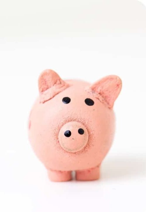Piggy Bank - Business Consultant in Australia